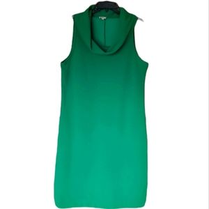 Cremieux Cowl Neck Dress